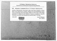 Image Associated With the Occurence